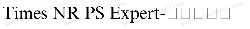 Times NR PS Expert字体转换